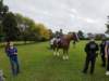 dji_20261004102125_0676_d_small.jpg