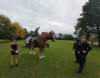 dji_20261004102217_0679_d_small.jpg
