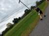 dji_20261004103724_0713_d_small.jpg